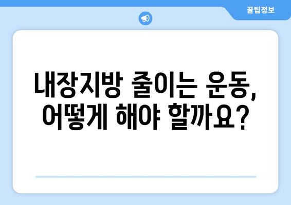 내장지방 줄이는 확실한 방법| 효과적인 운동 & 식단 가이드 | 내장지방 감소, 건강 관리, 체중 감량