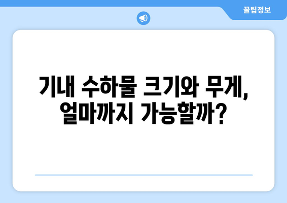 기내 수하물, 궁금한 건 다 있어! 핵심 질문과 답변 총정리 | 기내 반입 규정, 수하물 크기, 무게 제한, 금지 품목