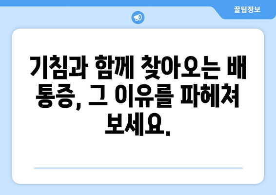 기침할 때 배가 아픈 이유? 배 통증의 충격적인 원인 5가지 | 기침, 복통, 원인 분석, 진단