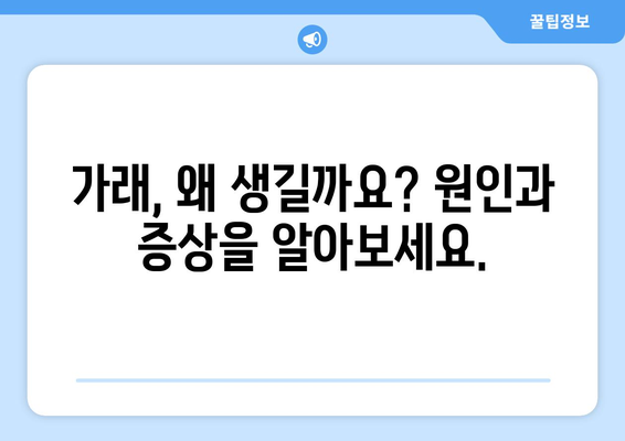 가래의 모든 것| 원인, 증상, 색깔별 의미 완벽 가이드 | 건강, 호흡기, 질병