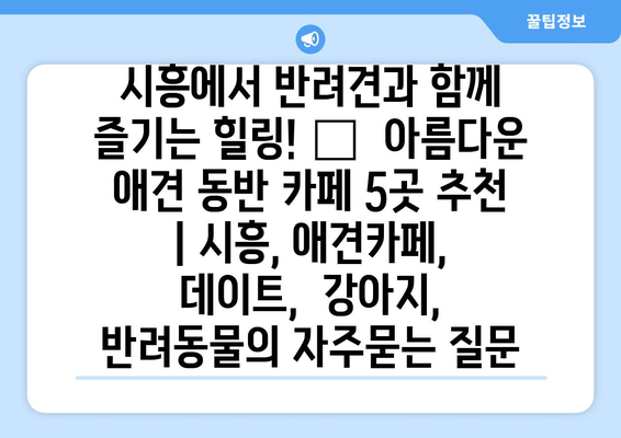 시흥에서 반려견과 함께 즐기는 힐링! 🐶  아름다운 애견 동반 카페 5곳 추천 | 시흥, 애견카페,  데이트,  강아지,  반려동물