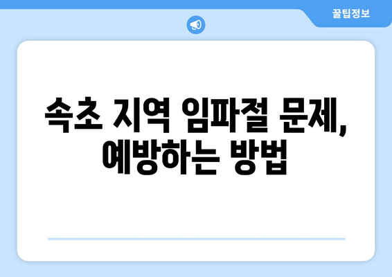 속초 지역 임파절 문제, 원인부터 치료까지 완벽 가이드 | 임파선, 염증, 부종, 진단, 치료법