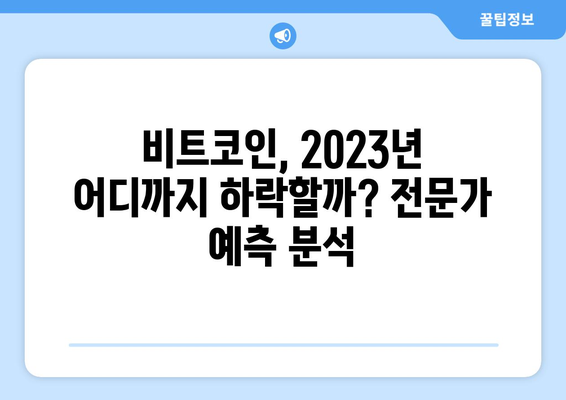 비트코인 가격 조정| 전문가 예측 & 범위 분석 | 2023년 시장 전망 & 투자 전략