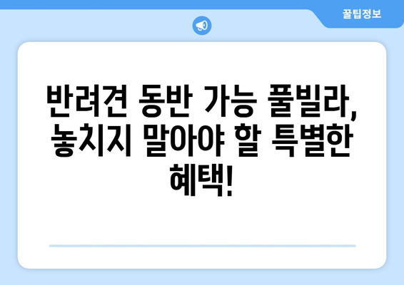 반려견과 함께 떠나기 좋은 힐링 풀빌라 펜션 5곳 추천 | 사랑하는 반려견과 특별한 여행 만들기 🐶