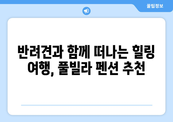 반려견과 함께 떠나기 좋은 힐링 풀빌라 펜션 5곳 추천 | 사랑하는 반려견과 특별한 여행 만들기 🐶