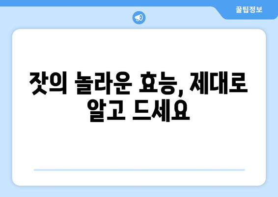 잣의 놀라운 효능과 부작용, 보관법 & 먹는 법 완벽 가이드 | 잣 효능, 잣 부작용, 잣 보관, 잣 먹는법