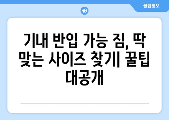 비행기 기내 캐리어 규정 완벽 정복| 항공사별 규격 & 보관 가이드 | 기내 반입, 위탁, 짐 싸는 꿀팁