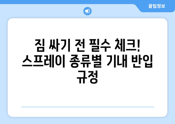 항공 수하물 스프레이 필수 지침| 국내선 vs 국제선 규정 완벽 정리 | 여행 준비, 짐 싸기, 기내 반입 팁