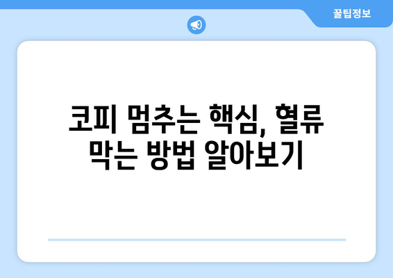 코피 났을 때, 당황하지 말고! 즉석 응급처치 완벽 가이드 | 혈류 막는 방법, 지혈법, 응급처치 단계