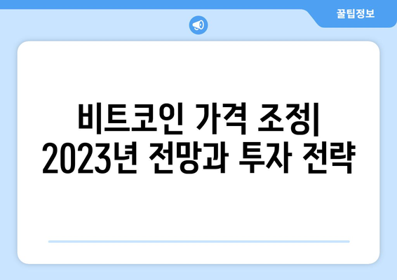 비트코인 가격 조정| 전문가 예측 & 범위 분석 | 2023년 시장 전망 & 투자 전략