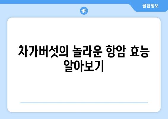 차가버섯 효능 & 영양 성분| 면역력 강화하는 슈퍼푸드 | 건강, 면역, 항암, 차가버섯 효능, 차가버섯 영양 성분