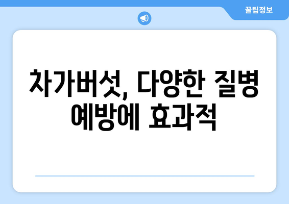 차가버섯 효능 & 영양 성분| 면역력 강화하는 슈퍼푸드 | 건강, 면역, 항암, 차가버섯 효능, 차가버섯 영양 성분