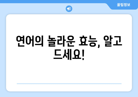 연어의 건강 효능, 부작용, 영양 성분 & 맛있게 먹는 법 | 연어 요리 레시피, 효능 비교, 주의 사항