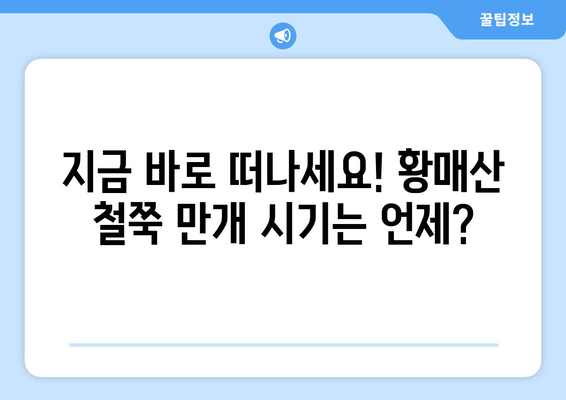 산청 황매산 등산 완벽 가이드| 철쭉 만개 시기 & 주요 코스 추천 | 봄맞이 산행, 지금 바로 떠나세요!
