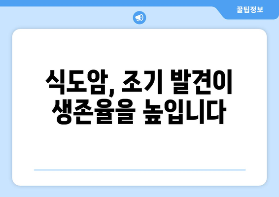 식도암 초기 증상| 위식도 역류, 삼키기 어려움, 목 통증 | 놓치지 말아야 할 경고 신호