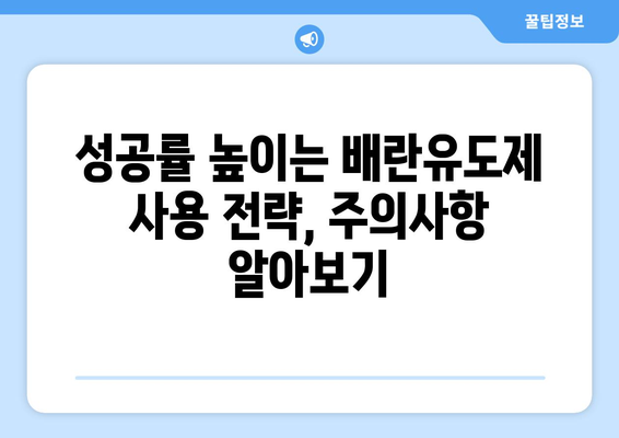 인공수정 시험관 아기 성공률 높이는 배란유도제 비교 가이드 | 성공률 극대화 전략