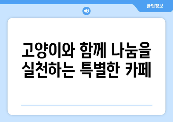 광안리 고양이 카페에서 따뜻한 나눔을| 기부로 연결되는 