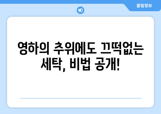 영하에도 끄떡없이! 세탁기 관리법| 겨울철 문제 해결 솔루션 | 세탁기 동파 방지, 겨울철 세탁 팁, 냉동 문제 해결