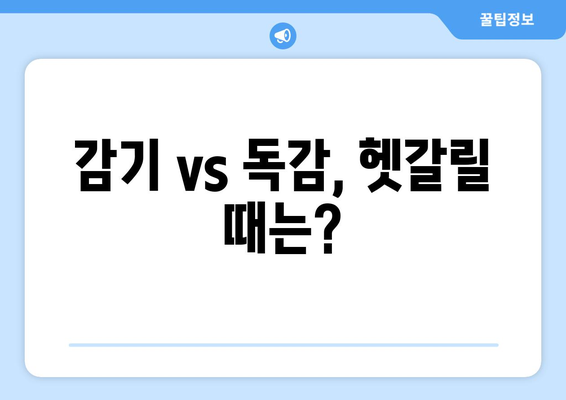 감기 vs 독감| 증상, 차이점, 그리고 관리법 | 감기, 독감, 차이, 비교, 관리