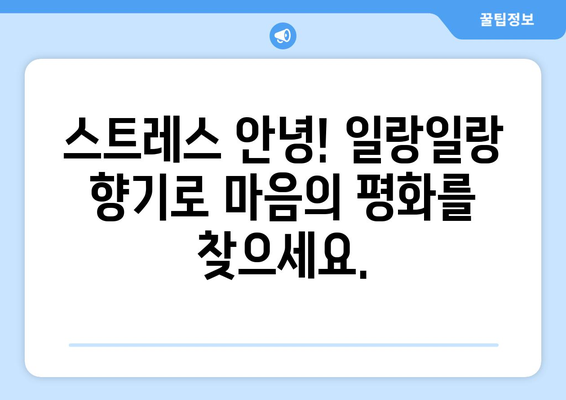 일랑일랑 에센셜 오일 효과| 몸과 마음을 편안하게 하는 향기의 비밀 | 아로마테라피, 스트레스 해소, 릴렉싱