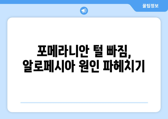 포메라니안 털 빠짐 걱정 끝! 🐶  알로페시아 관리 핵심 가이드 | 탈모 원인, 예방법, 치료법