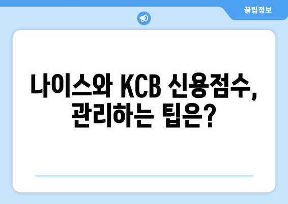 나이스 vs KCB 신용점수, 어떤 점이 다를까? | 신용점수 비교 분석, 신용등급 확인, 신용관리 팁