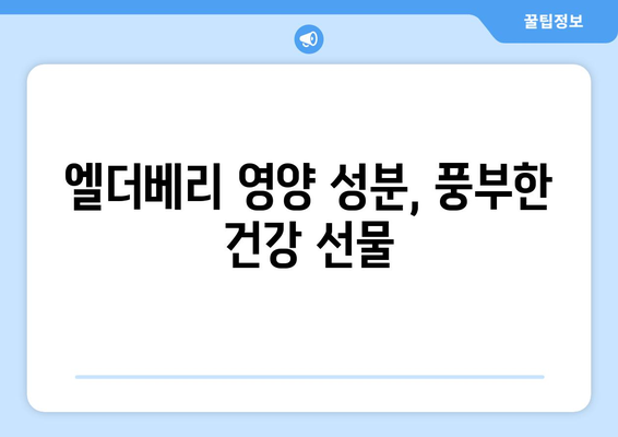 엘더베리 효능, 부작용, 영양 성분, 먹는 법 총정리 | 건강, 면역력, 엘더베리 효능, 섭취 방법, 주의 사항