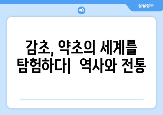 감초의 놀라운 효능과 부작용, 먹는 법까지! 설탕보다 50배 더 달콤한 비밀 | 건강, 약초, 천연 감미료