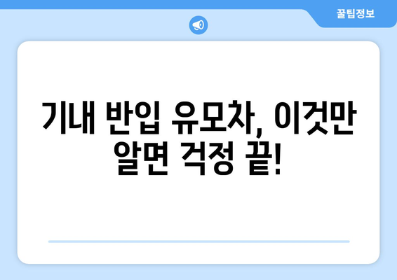 기내 반입 가능한 유모차 크기 & 종류| 안전하고 편안한 비행을 위한 완벽 가이드 | 여행 준비 필수 정보