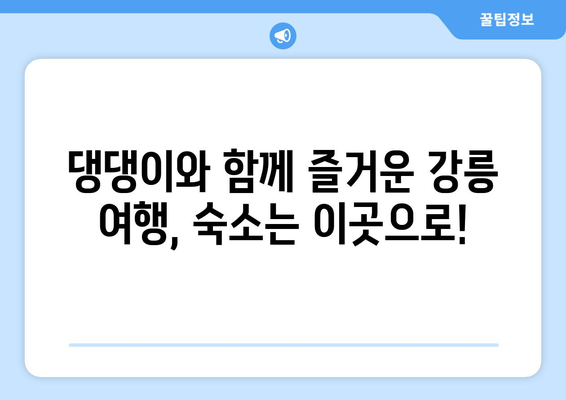 강릉 댕댕이 동반 숙소 BEST 3| 애견과 함께 떠나는 행복한 여행  | 강릉, 애견 동반 숙소, 추천, 댕댕이 여행