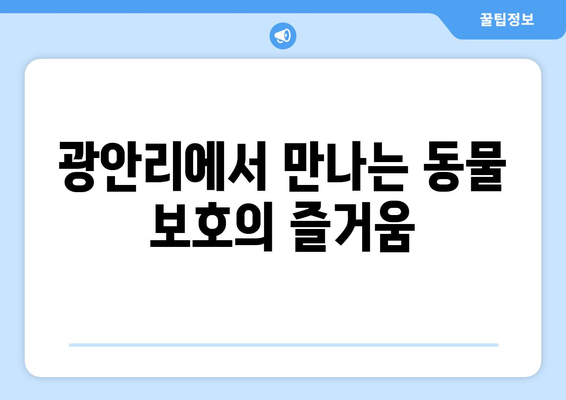 광안리 고양이 카페에서 따뜻한 나눔을| 기부로 연결되는 