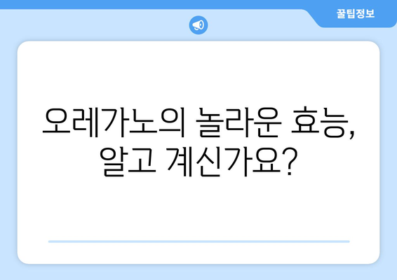 오레가노의 놀라운 효능과 부작용, 다양한 용도 & 오레가노 차 만드는 방법 | 허브, 건강, 레시피, 차 종류