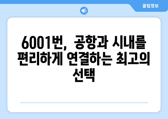 6001번 공항버스 완벽 가이드 | 운행 시간, 정류장, 요금 정보, 노선 상세 안내