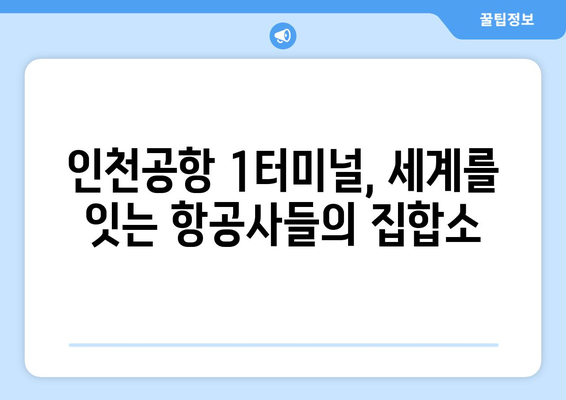 인천공항 제1여객터미널 항공사 안내| 아시아와 유럽을 잇는 허브 |  대한민국 대표 공항의 항공사 정보