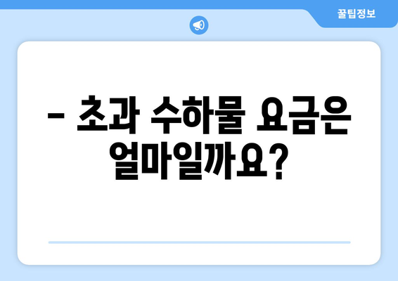 제주항공 골프백 수화물 규정 완벽 정리 | 무료 위탁 & 초과 요금 정보