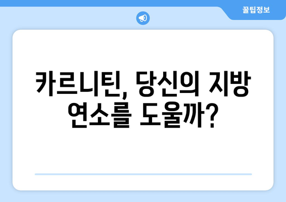 카르니틴, 엘카르니틴, L-카르니틴| 다이어트 효과와 부작용, 복용법 완벽 가이드 | 체중 감량, 지방 연소, 건강 팁