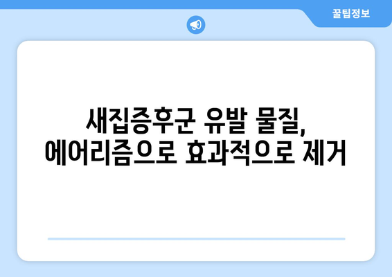 새집증후군, 에어리즘으로 날려버리세요! | 공기질 개선을 위한 5가지 방법과 효과