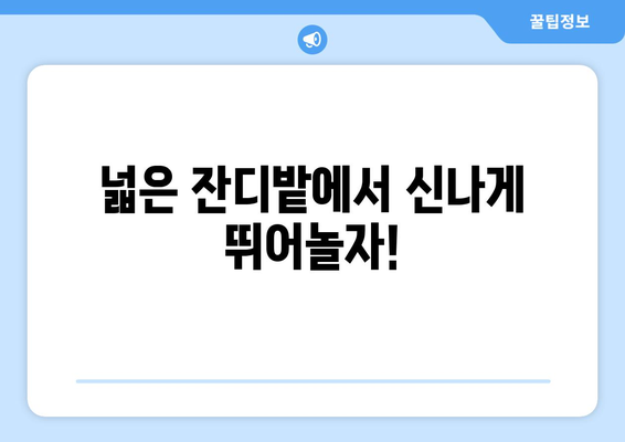 시흥에서 반려견과 함께 즐기는 힐링! 🐶  아름다운 애견 동반 카페 5곳 추천 | 시흥, 애견카페,  데이트,  강아지,  반려동물