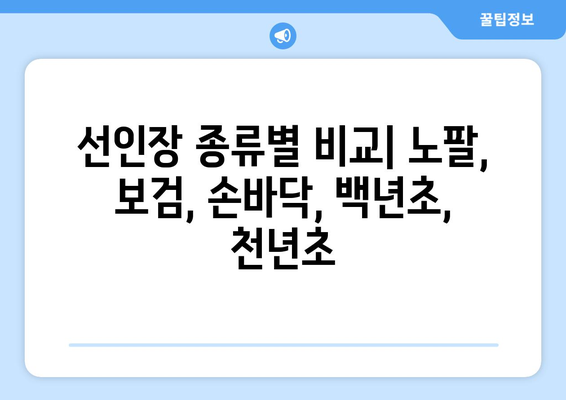 노팔 선인장, 보검 선인장, 손바닥 선인장, 백년초, 천년초 효능 총정리 | 다양한 종류, 효능 비교, 섭취 방법