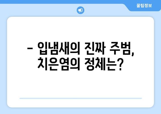 치은염, 숨겨진 입냄새의 주범? 해결책 찾기 | 치은염 증상, 원인, 치료, 예방