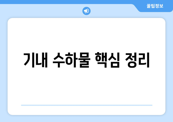 기내 수하물, 궁금한 건 다 있어! 핵심 질문과 답변 총정리 | 기내 반입 규정, 수하물 크기, 무게 제한, 금지 품목