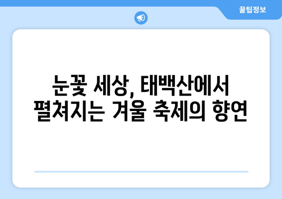 태백산 눈축제, 눈부신 설경과 짜릿한 겨울 축제의 매력에 빠지다 | 태백산, 눈축제, 겨울여행, 눈조각, 눈썰매