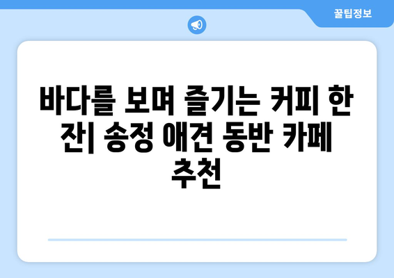 송정에서 반려동물과 함께 즐기는 카페 투어| 애견 동반 가능 카페 탐험 | 송정, 애견 동반, 카페 추천