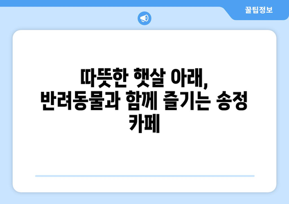 송정에서 반려동물과 함께 즐기는 카페 투어| 애견 동반 가능 카페 탐험 | 송정, 애견 동반, 카페 추천