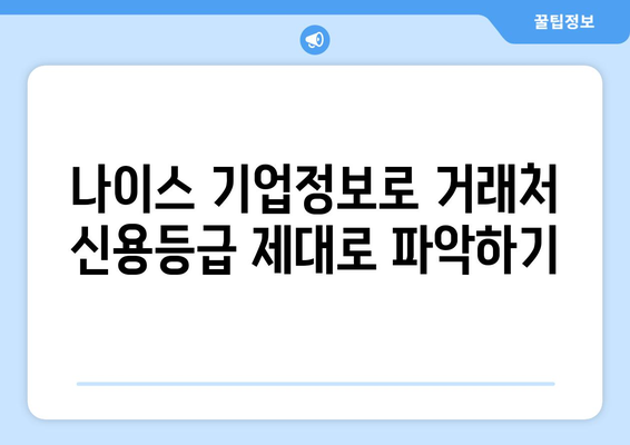 나이스 기업정보 활용, 거래처 신용평가 꿀팁| 5단계 가이드 | 신용등급, 재무제표 분석, 위험 관리