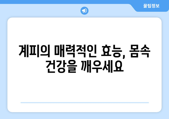 계피의 놀라운 효능과 부작용, 영양성분까지! 계피를 활용한 요리 레시피 | 건강, 요리, 레시피, 효능, 부작용