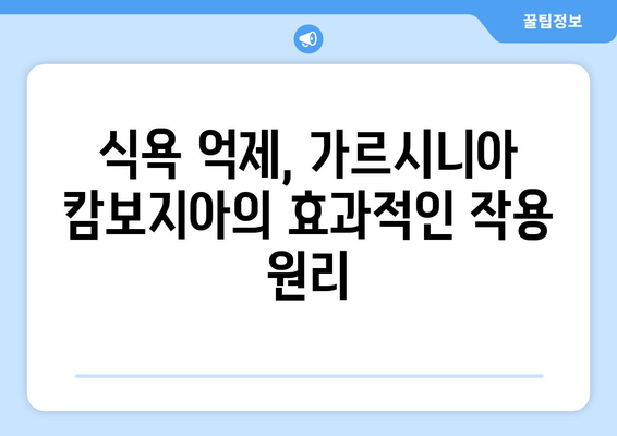 가르시니아 캄보지아 효능, 부작용, 다이어트 효과 총정리 | 체중 감량, 건강, 식욕 억제, 부작용 주의