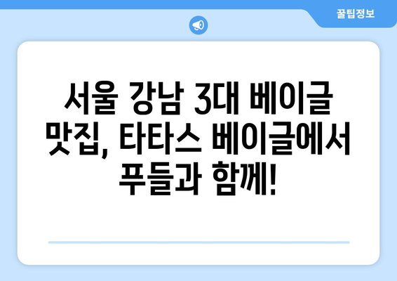 푸들과 함께 즐기는 타타스 베이글 맛집| 서울 강남 3대 베이글 맛집 | 반려견 동반 가능