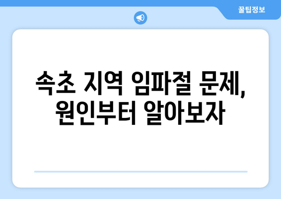 속초 지역 임파절 문제, 원인부터 치료까지 완벽 가이드 | 임파선, 염증, 부종, 진단, 치료법