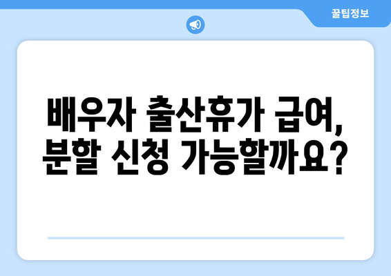 배우자 출산휴가 급여 분할 신청 완벽 가이드 | 배우자 휴가, 급여 분할, 신청 방법, 서류, 주의 사항